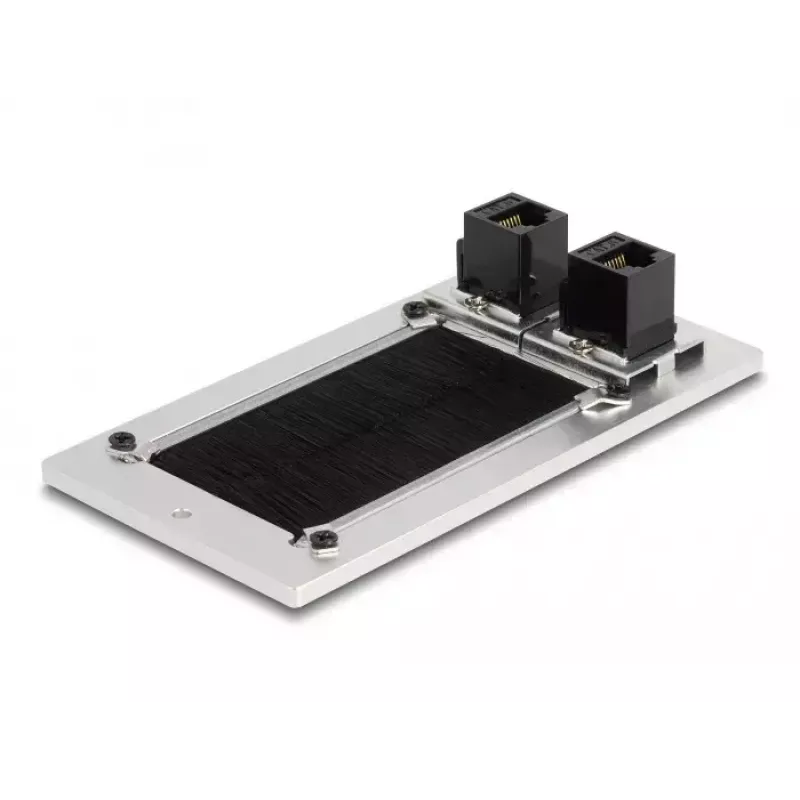 DeLOCK Przepust kablowy ze szczotką i 2 modułami Keystone RJ45 Kat.6, aluminium