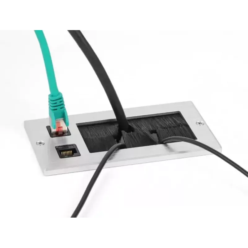 DeLOCK Przepust kablowy ze szczotką i 2 modułami Keystone RJ45 Kat.6, aluminium