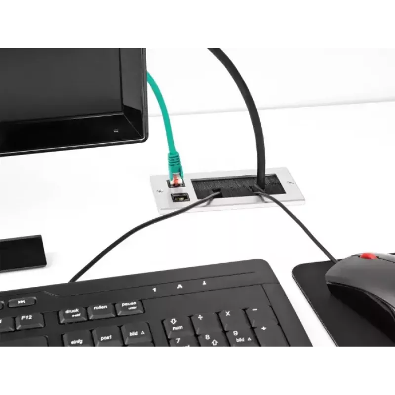 DeLOCK Przepust kablowy ze szczotką i 2 modułami Keystone RJ45 Kat.6, aluminium