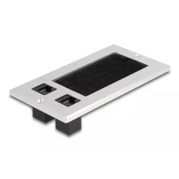 DeLOCK Przepust kablowy ze szczotką i 2 modułami Keystone RJ45 Kat.6, aluminium