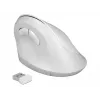 Mysz DeLOCK 12596 biurowa praworęczna RF bezprzewodowa 1600 DPI