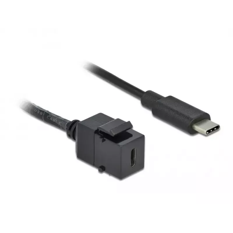 Keystone module DeLOCK 86398 płaski Czarny USB C
