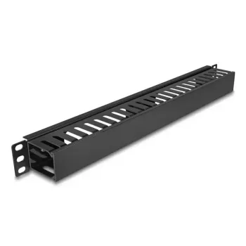 Panel prowadzenia kabli DELOCK 19 cali 1U z 2 otworami, metal/tworzywo, czarny