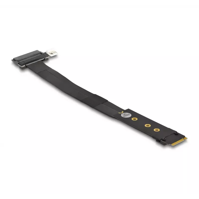 DeLOCK Adapter M.2 Key M na U.2 SFF-8639 NVMe z kablem 20 cm