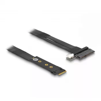 DeLOCK Adapter M.2 Key M na U.2 SFF-8639 NVMe z kablem 20 cm