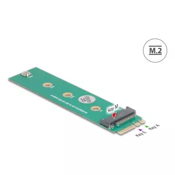 DeLOCK wewnętrzny adapter M.2 64343 Host M.2 Męski Zielony