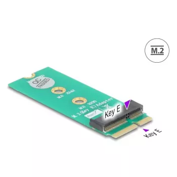 DeLOCK 64340 Wewnętrzny adapter M.2 Interfejs hosta M.2 Męski
