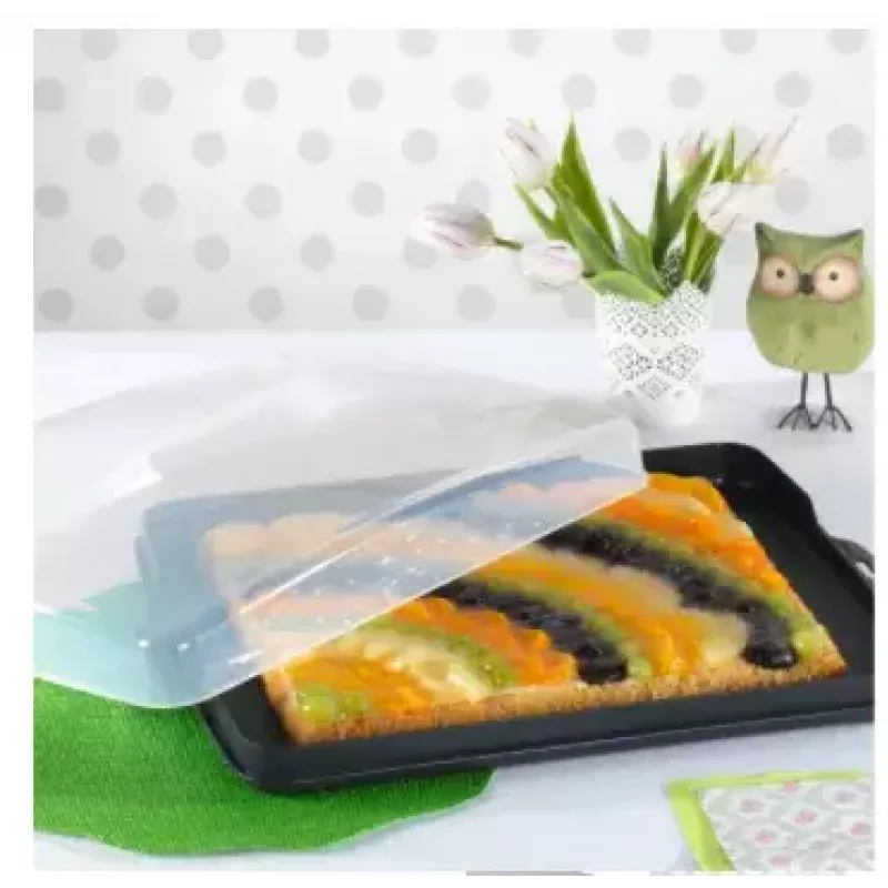 Hama 00111497 food service tray Rectangle Czarny, Transparent