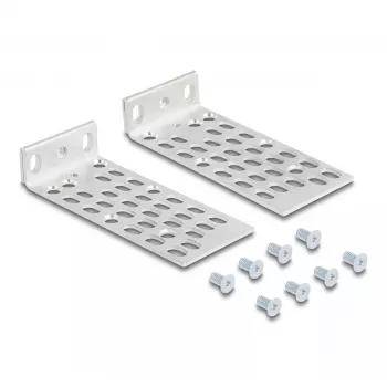 Zestaw montażowy DeLOCK 66236 Uniwersalny zestaw do montażu w szafie rack 2 szt. Srebrny Metal
