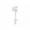 Equip 17–32 cali regulowany podwójny uchwyt do monitora na biurko, biały