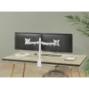 Equip 17–32 cali regulowany podwójny uchwyt do monitora na biurko, biały