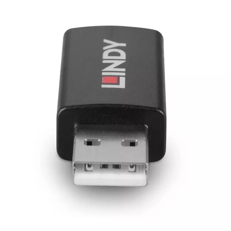 Lindy 71263 adapter złącza USB Typ A Czarny