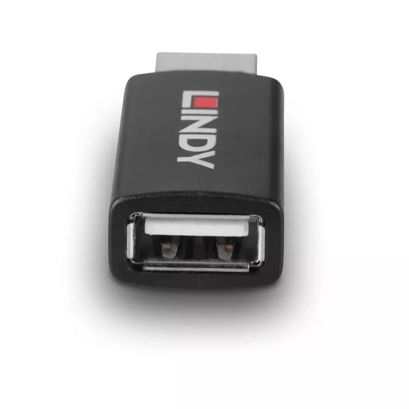 Lindy 71263 adapter złącza USB Typ A Czarny