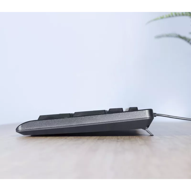 Trust TKM-250 klawiatura Mysz w zestawie Biurowa USB QWERTZ niemiecka Czarna