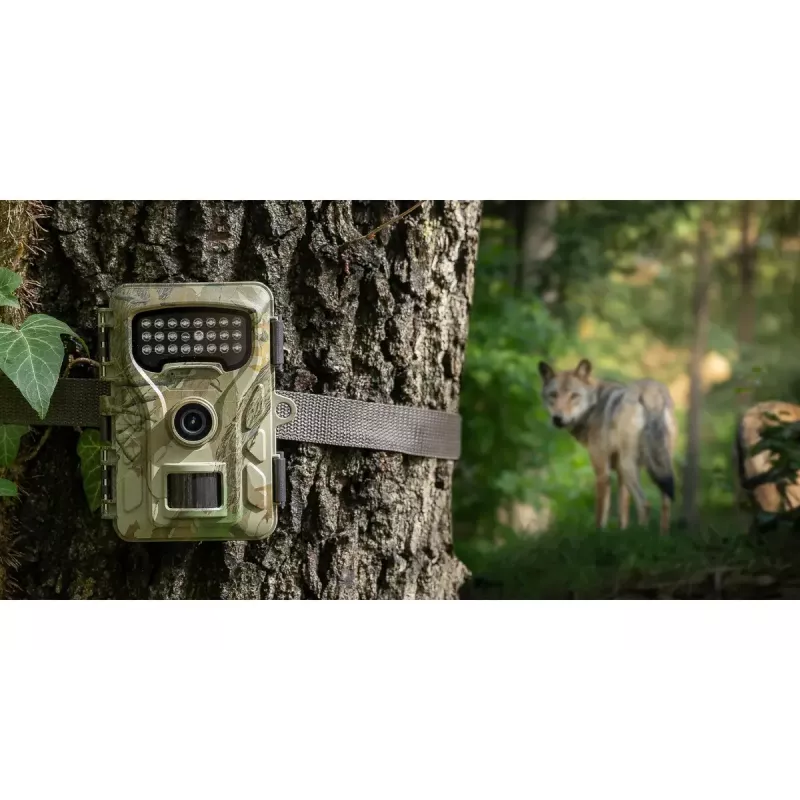 Kamera monitorująca Redleaf RF06 RL4380 Standard