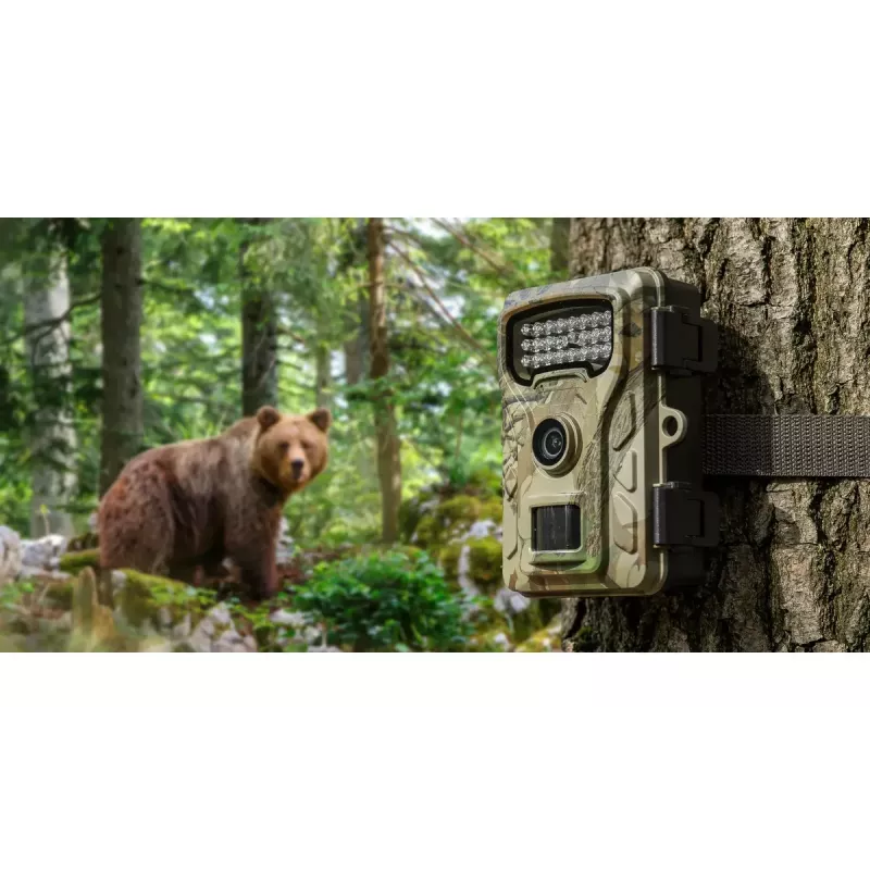 Kamera monitorująca Redleaf RF06 RL4380 Standard