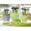 Chalk Marker Edding 4095 biały 10 szt.