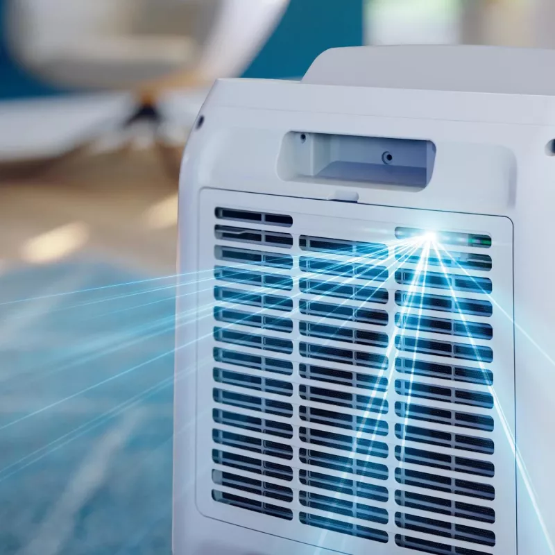 Philips 3000 series DE3306/11 Osuszacz powietrza 4 L 51 dB Biały, Jasnoszary