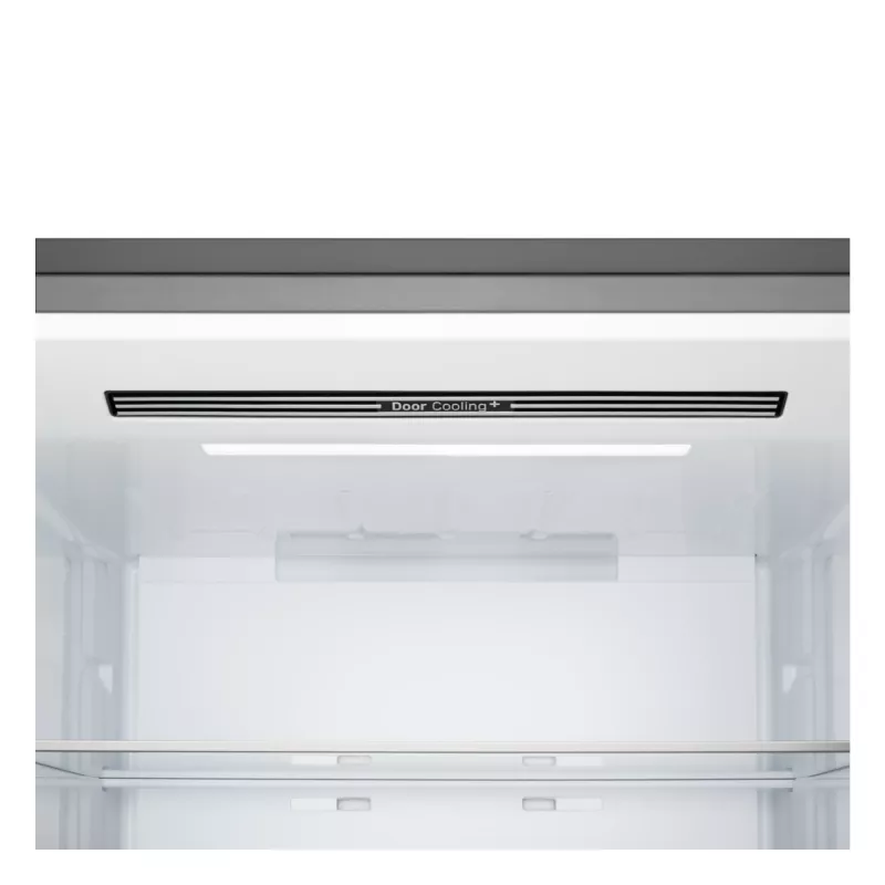 LG GBBW322DPY Wolnostojący 465 L Srebrny