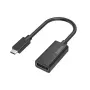 Hama 00200314 adapter kabla wideo USB Typu-C DisplayPort Czarny
