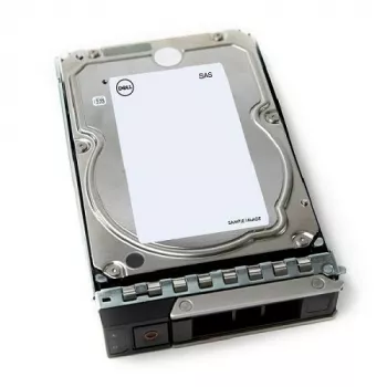 DELL 161-BCJX wewnętrzny dysk twardy 12 TB 7200 RPM 3,5 cala NL-SAS