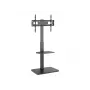 TV Floor Stand Equip 37 inch-75 inch 650613
