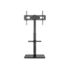 TV Floor Stand Equip 37 inch-75 inch 650613