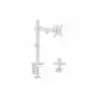 Equip 17 inch-32 inch Przegubowy uchwyt do monitora na biurko, biały