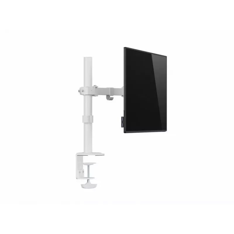 Equip 17 inch-32 inch Przegubowy uchwyt do monitora na biurko, biały