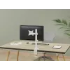 Equip 17 inch-32 inch Przegubowy uchwyt do monitora na biurko, biały