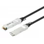 Intellinet 1m 40G QSFP+ Pasywny miedziany kabel bezpośredniego podłączenia Twinax 30AWG, zgodny z MSA QSFP-H40G-CU1M
