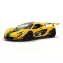 Samochód wyścigowy szosowy Jamara McLaren P1 GTR