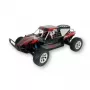 Buggy Amewi Breaker model RC sterowany radiowo 1:10