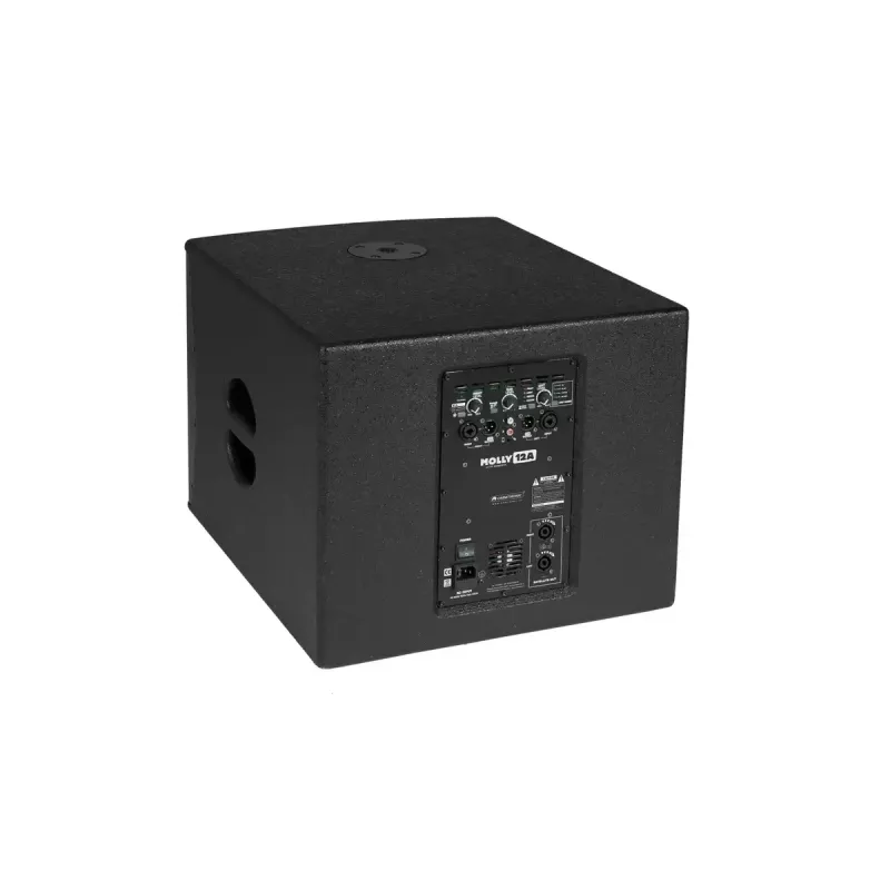 Aktywny subwoofer Omnitronic 11039050 czarny 500 W