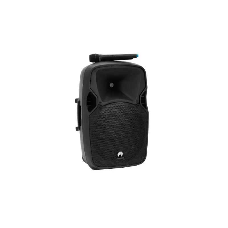 Loudspeaker Omnitronic 11038759 150 W Wired & Wireless Czarny