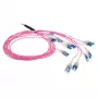 ACT 45 metrów Multimode 50/125 OM4 Preterm kabel światłowodowy 24F LC Polarity Twist