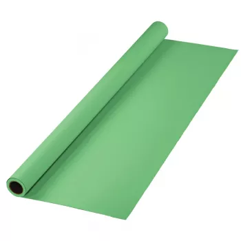 Tło Hama 00021534 zielone 11000 mm x 2750 mm