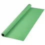 Tło Hama 00021534 zielone 11000 mm x 2750 mm