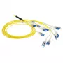 ACT 50 metrów Singlemode 9/125 OS2 Preterminowany kabel światłowodowy 24F LC Polarity Twist