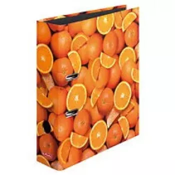 Segregator A4 Herlitz 10626190 Wielokolorowy