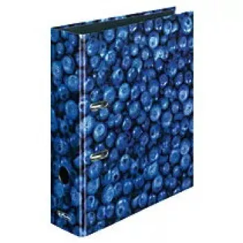 Segregator Herlitz 11080660 A4 Wielokolorowy