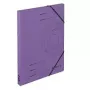 Folder kartonowy fioletowy A4 Herlitz 11255452