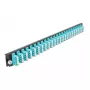 Panel przedni skrzynki spawów DeLOCK 19 cali 24 porty LC Quad aqua