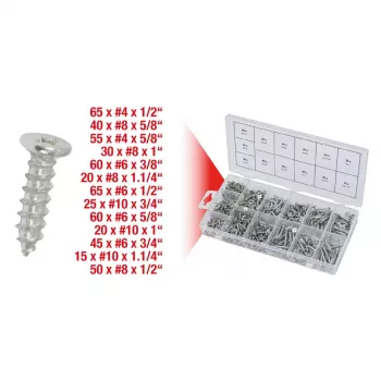 Zestaw wkrętów/śrub KS Tools 970.0430