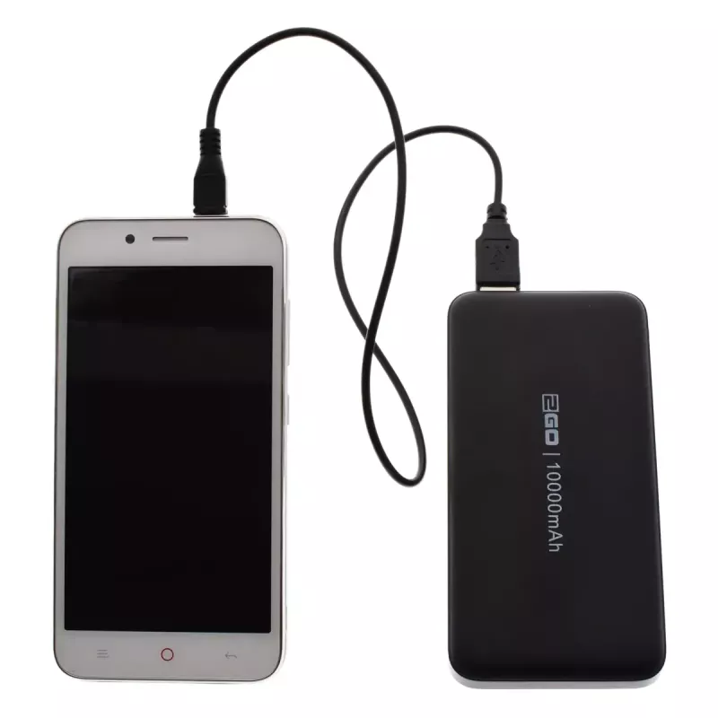 Powerbank 2GO 795944, 10000 mAh
