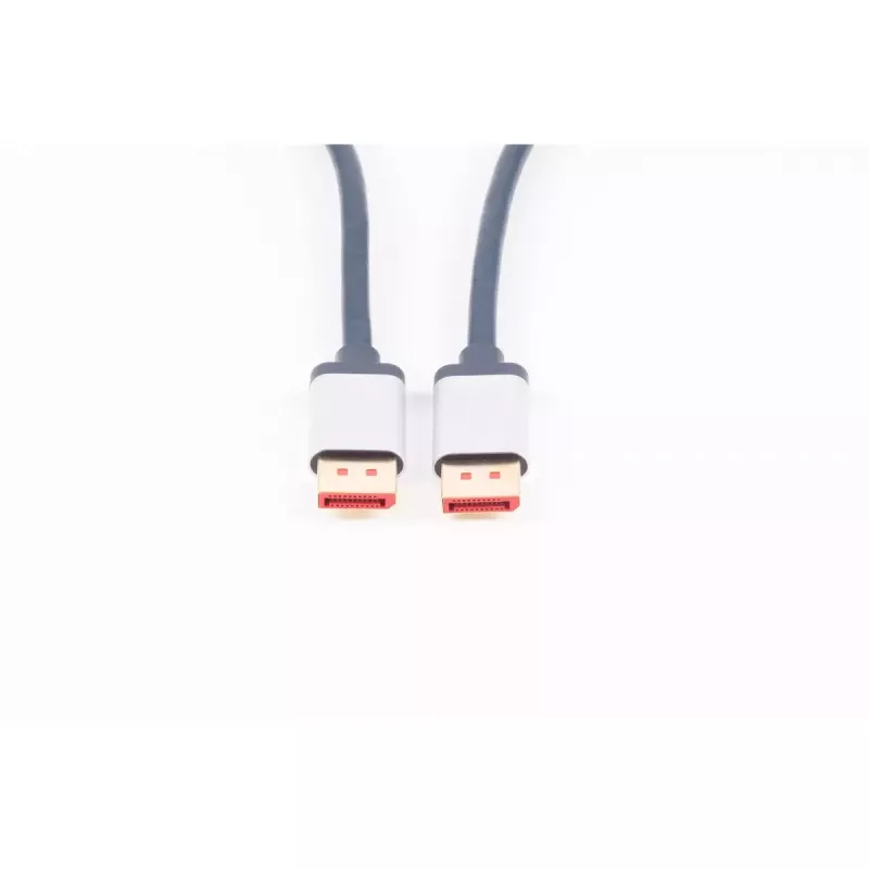 Kabel DisplayPort ShiverPeaks SP03-20035 2 m Niebieski