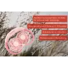 Unold Wentylator na szyję Breezy Pink, Różowy, 2 wentylatory, 8 h, Wentylator na szyję, Biały, 1 szt.