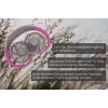 Unold Wentylator na szyję Breezy antracyt, antracyt, fioletowy, 2 wentylatory, 8 h, wentylator na szyję, biały, 1 szt.