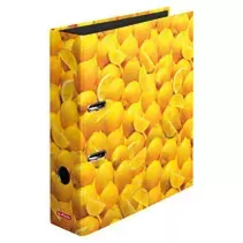 Segregator Herlitz 10546901 A4 Wielokolorowy