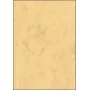 Papier artystyczny Sigel DP262 100 arkuszy beżowy 90 g/m²